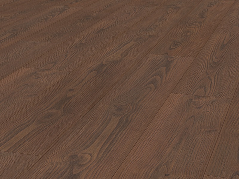 BRONTE CHESTNUT XL