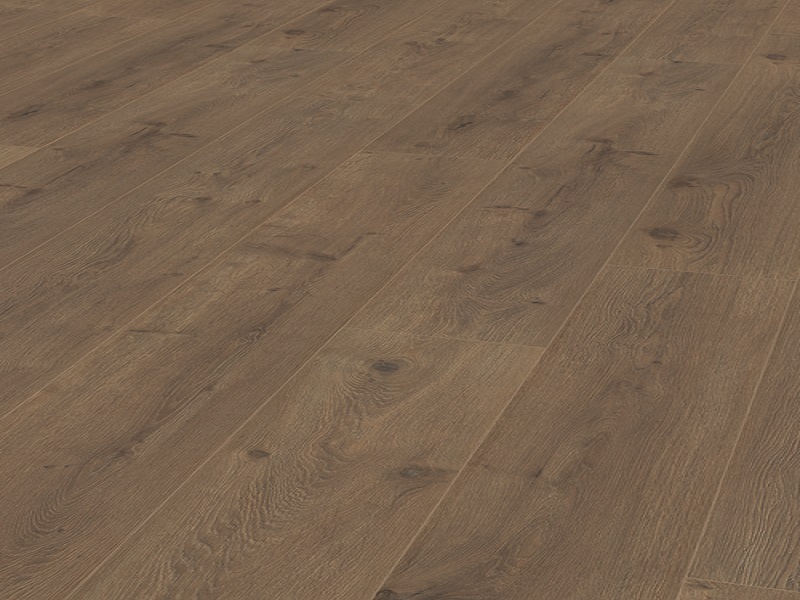 COFFEE OAK XL
