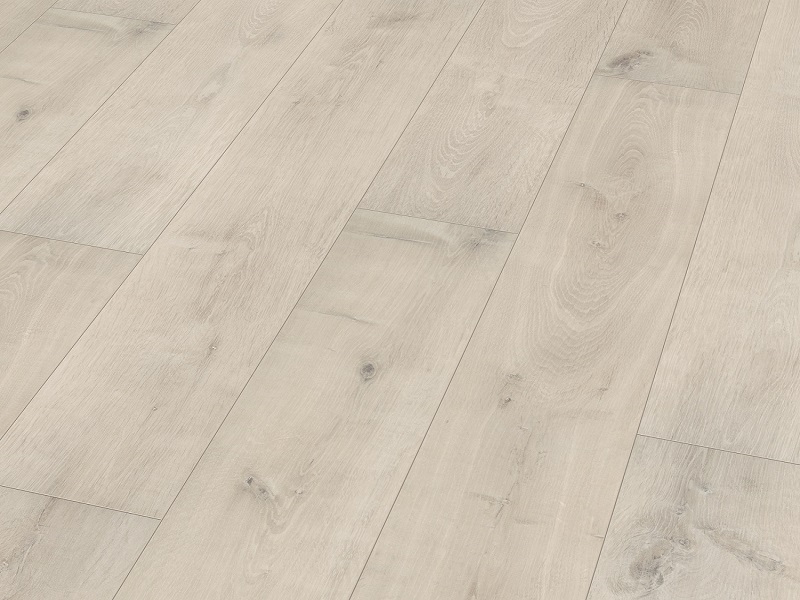 CALCIC OAK