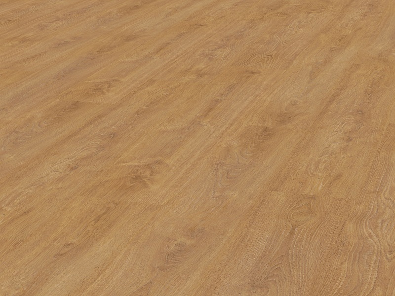 CARTAGO OAK