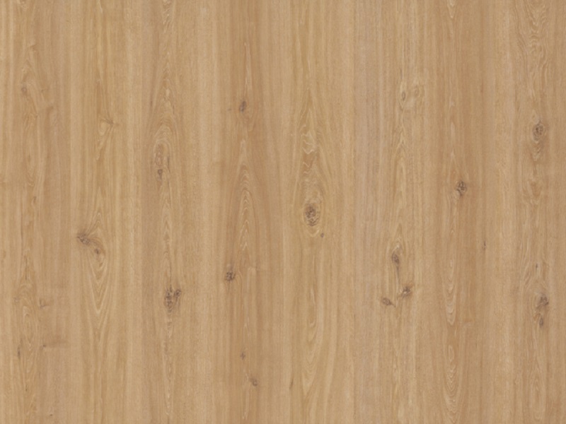 SIROCCO OAK